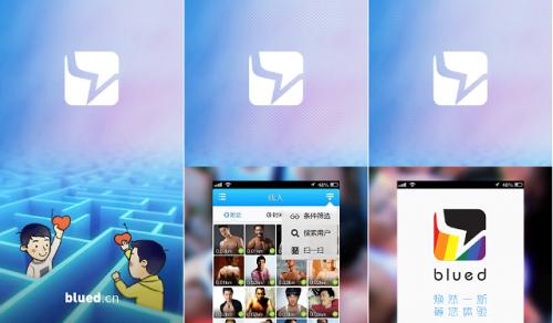blued密码忘记了没有手机号怎么办？